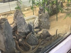 -荔城生鲜盛宴(番禺旗舰店)
