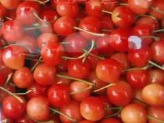 -江杨农产品批发市场