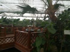 -汤山翠谷生态餐厅