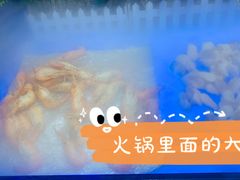 -巴犀烧烤(新崇光店)