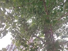 -北化机爱工场文化科技融合产业园