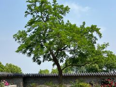 -南京市江宁方山