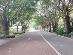 -南宁南湖公园