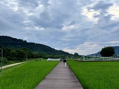 -艾米稻香小镇