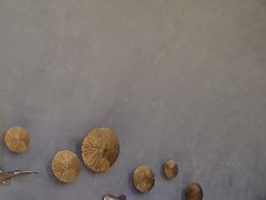 -额尔敦牛厨师铜板烧