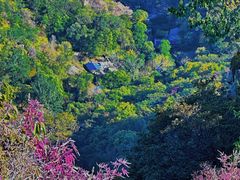 -大岭沟猕猴桃谷风景区