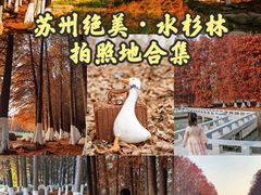 -白塘生态植物园