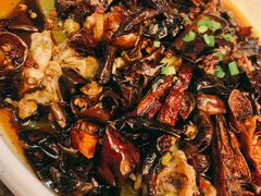 水煮牛蛙-铁公鸡·四川料理(天环广场店)