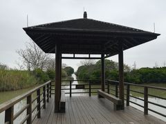 -大湾区中央湿地公园