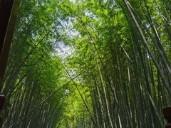 -同里国家湿地公园