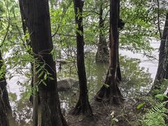 -海珠湖公园
