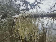 -九峰山