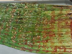 -街角等你.大连海鲜烧烤.经典铁板海鲜串(西安路店)