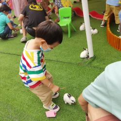 -萌宠亲子动物乐园(槐房万达店)