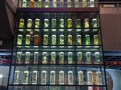 -广东中医药博物馆