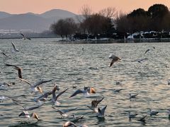 -云龙湖旅游景区