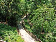 -雁荡山三折瀑景区