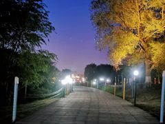 -长白岛森林公园