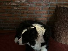 -哈尔滨北方国际青年旅舍(中央大街店)