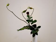 -今日陶艺(富力广场店)