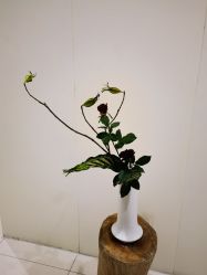 -今日陶艺(富力广场店)
