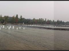 -大雁塔文化休闲景区-北广场