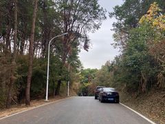 -青龙山国家森林公园