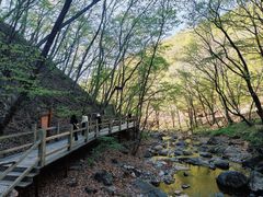 -本溪汤沟绿石谷森林公园