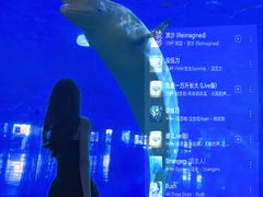 -泉城欧乐堡海洋极地世界