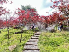 -广州市帽峰山景区