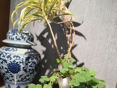 -陈熹公民族美食文化餐厅(中华广场店)