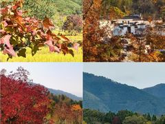 -塔川景区