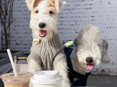 -小意思咖啡店(草桥店)