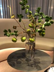 -美壹生皮肤管理中心