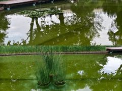 -静安公园(静安寺街道)