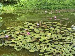 -东莞植物园