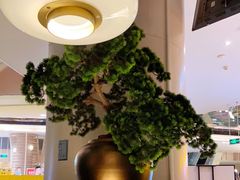 -新白鹿餐厅(金鹰新街口店)
