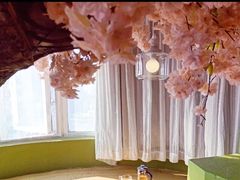 -猫猫幼稚园·撸猫·桌游·电玩