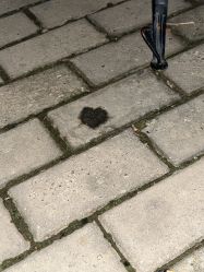 -梵茜儿·头道汤养生馆