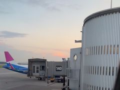 -谢列梅捷沃国际机场