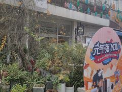 -春树下·树屋花房西餐厅(罍街AS1980店)