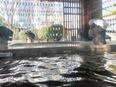 -中家鑫园温泉酒店鑫悦汤泉