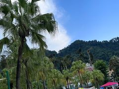 -重庆海昌加勒比海水世界