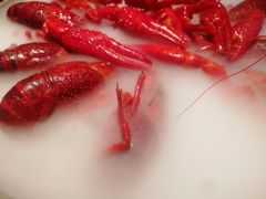 经典冰镇龙虾-红盔甲·小龙虾(人民广场店)