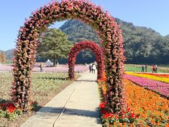 -广州市石门国家森林公园