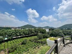 -树山生态村