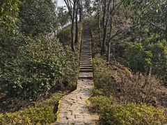 -莫干山风景区