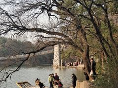 -东湖落雁景区