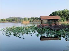 -上海市保健医疗中心