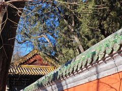 -北京国子监胡同